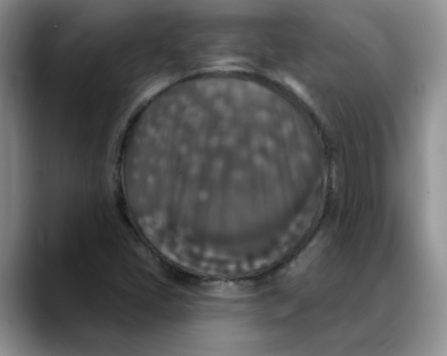 X0000088431405200706121442