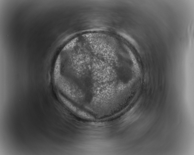 X0000088431407200706121442