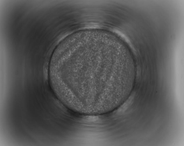 X0000088431409200706121442