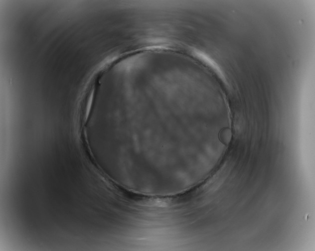 X0000088431411200706121442