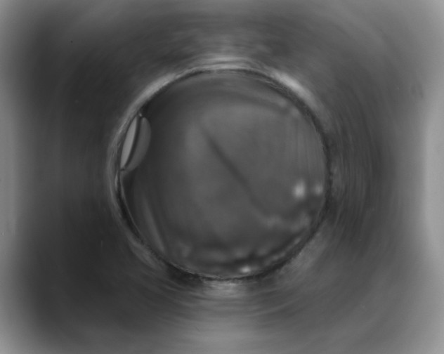 X0000088431413200706121442