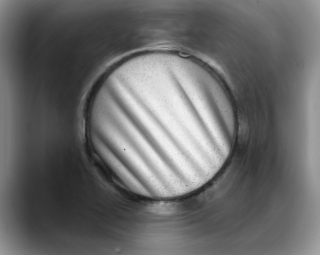 X0000088431414200706121442