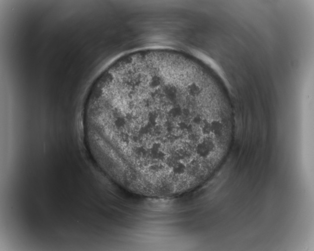 X0000088431415200706121442