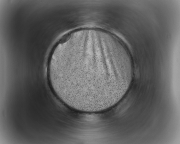 X0000088431416200706121442