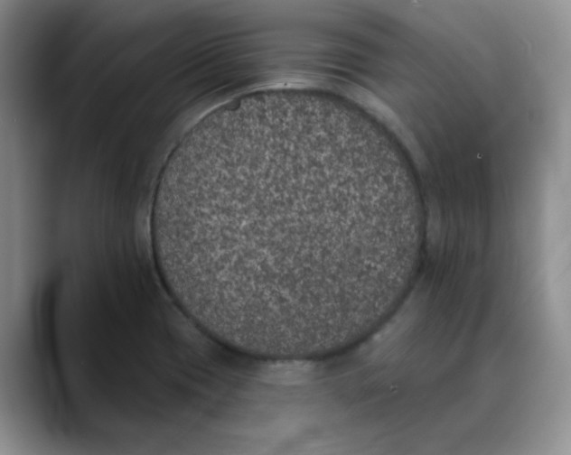 X0000088431417200706121442