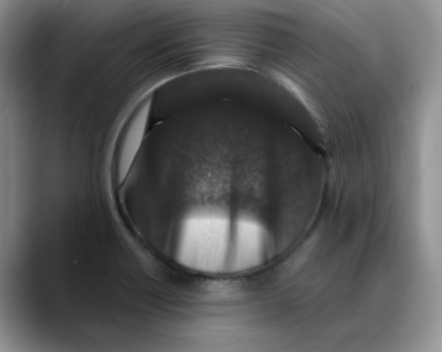 X0000088431418200706121442