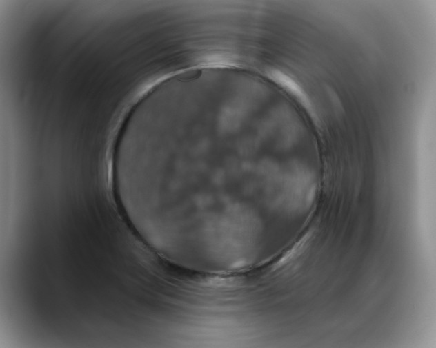 X0000088431419200706121442