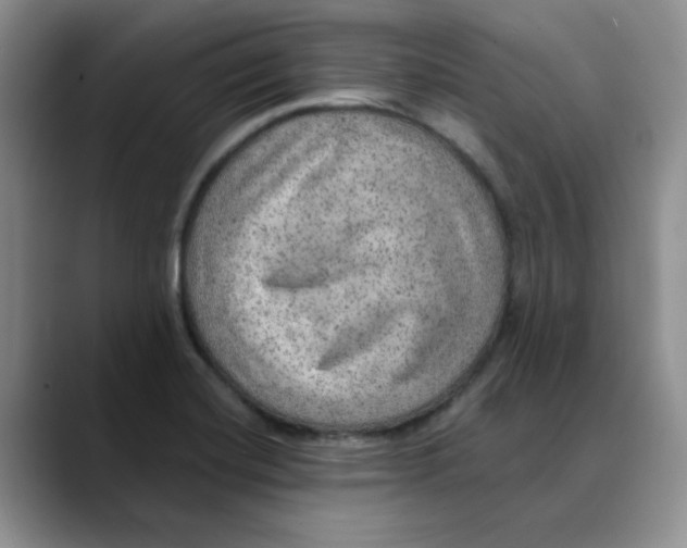 X0000088431420200706121442