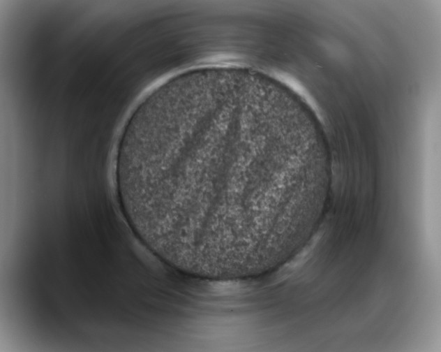 X0000088431421200706121442