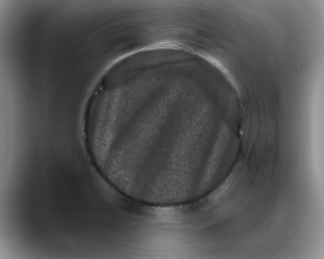 X0000088431422200706121442