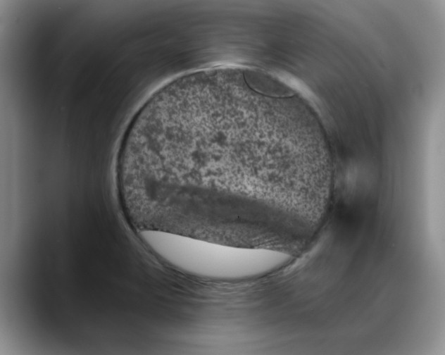 X0000088431423200706121442