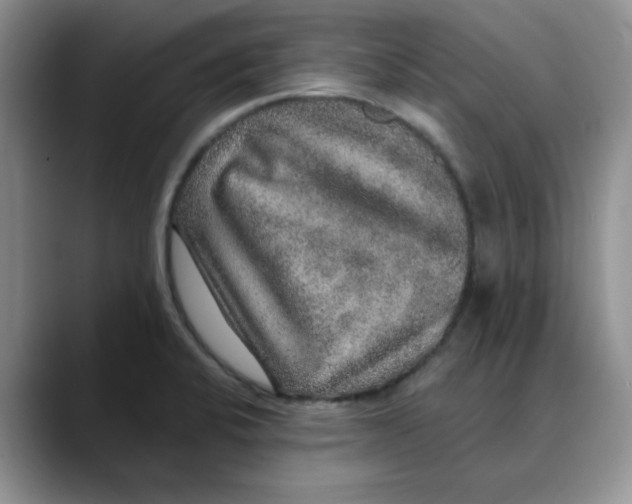 X0000088431424200706121442