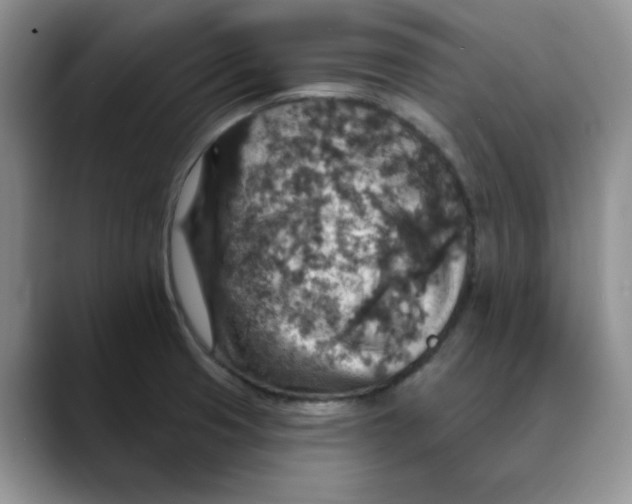 X0000088431425200706121442