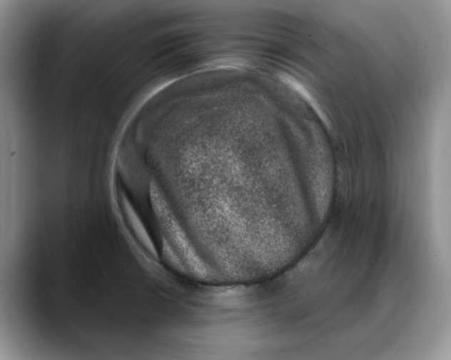 X0000088431426200706121442