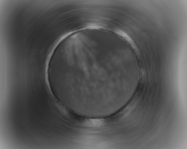 X0000088431427200706121442