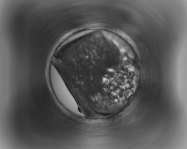 X0000088431429200706121442