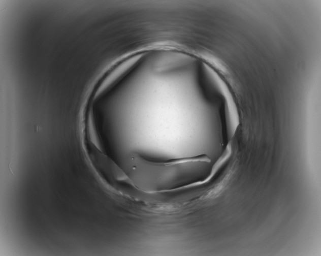 X0000088431430200706121442