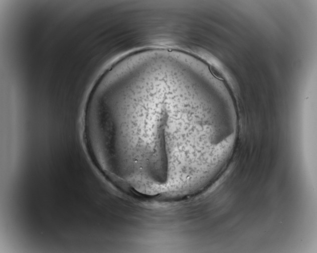 X0000088431432200706121442