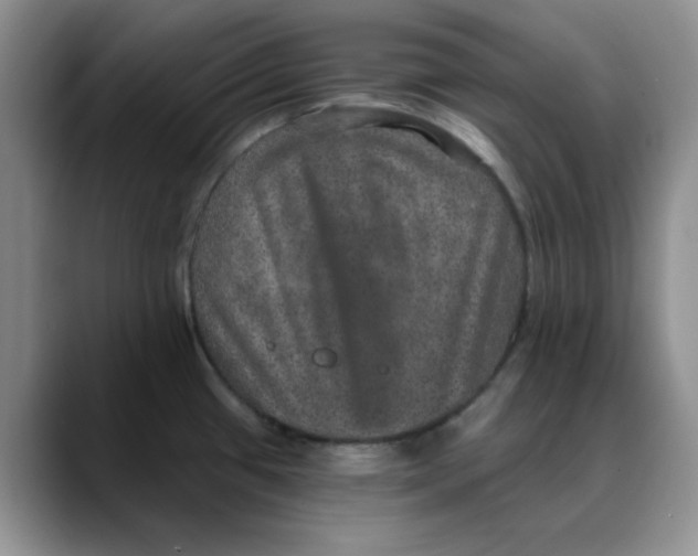 X0000088431433200706121442