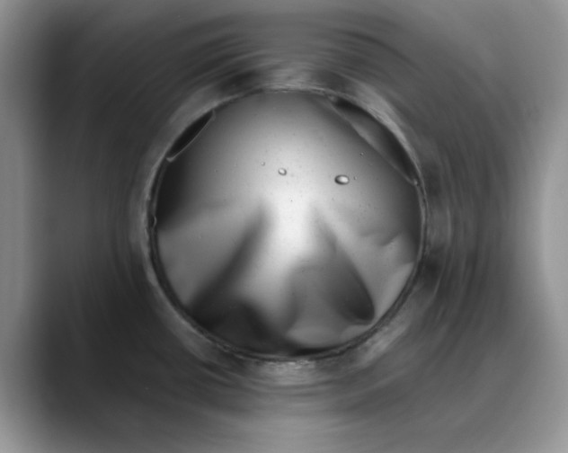 X0000088431434200706121442