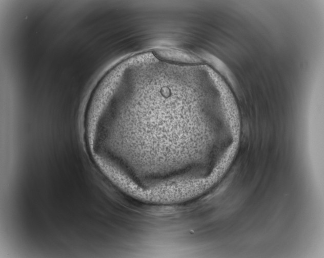 X0000088431435200706121443