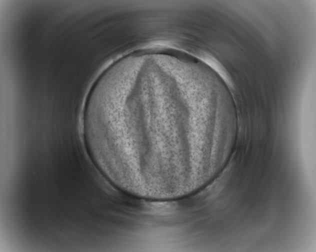 X0000088431436200706121443