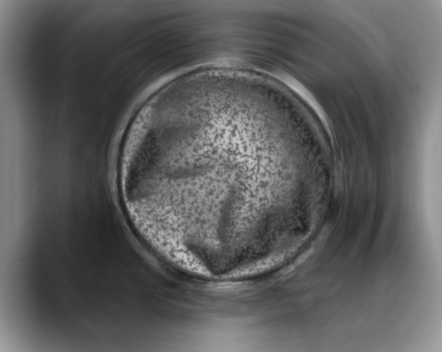 X0000088431437200706121443