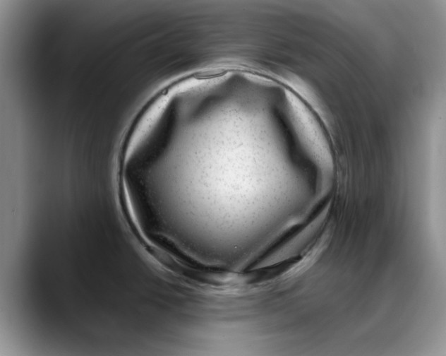 X0000088431438200706121443