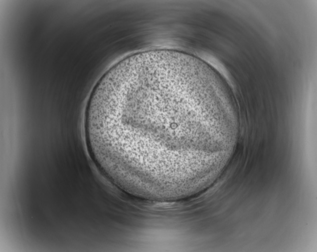 X0000088431439200706121443