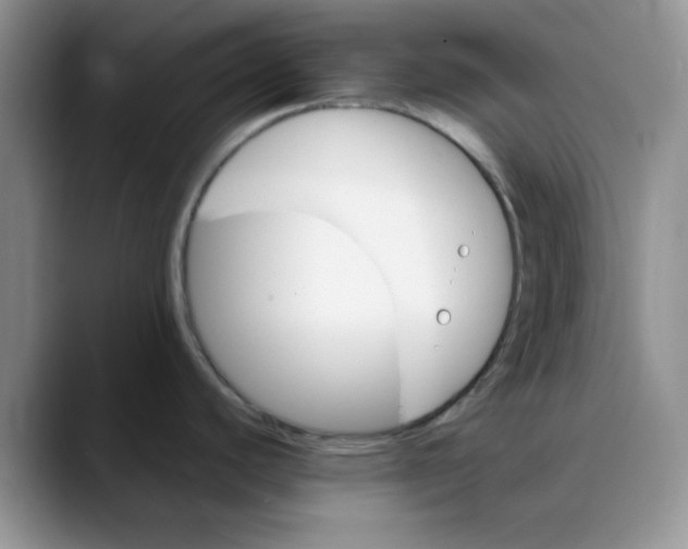 X0000088431440200706121443