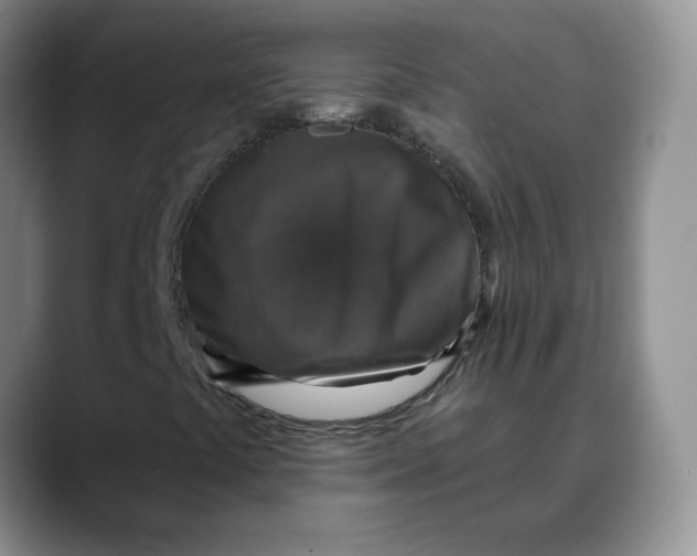 X0000088431441200706121442