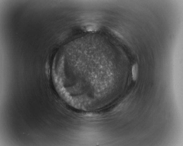 X0000088431443200706121442