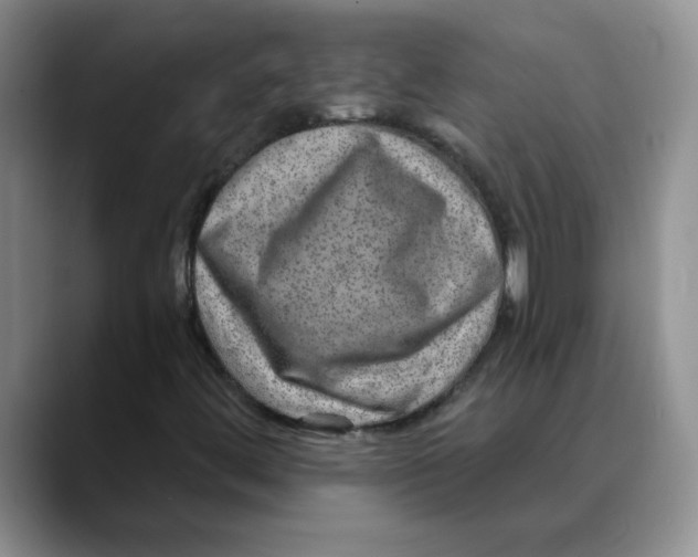 X0000088431444200706121442