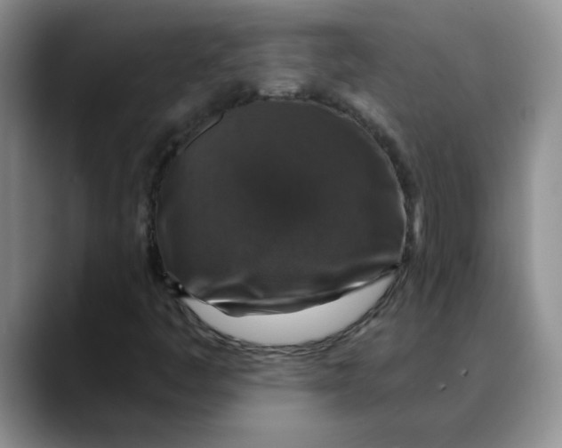 X0000088431445200706121442