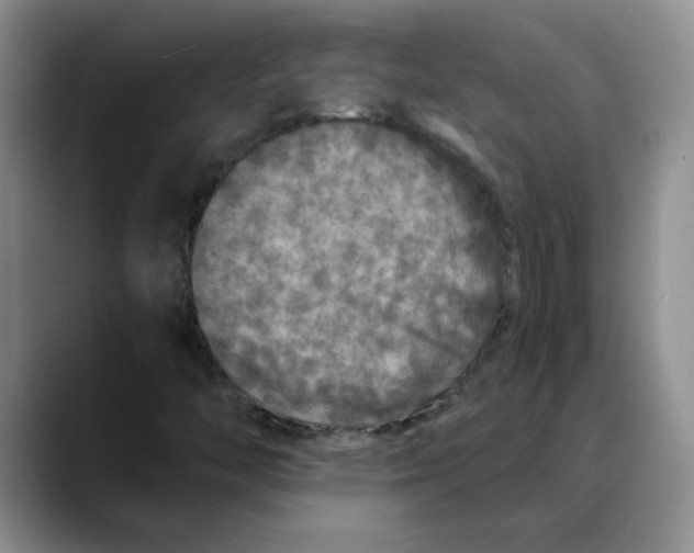 X0000088431446200706121442