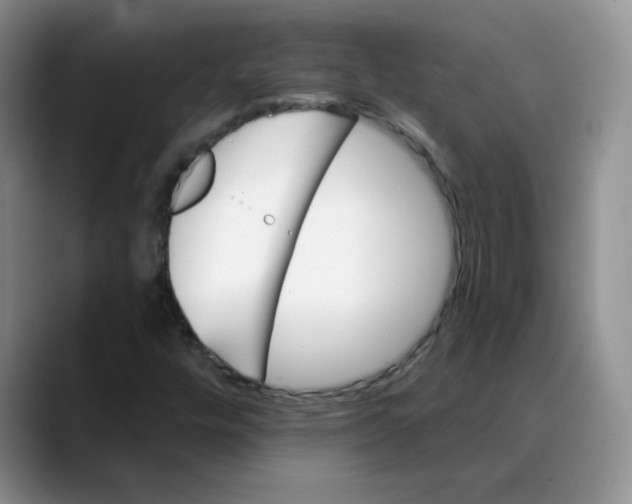 X0000088431448200706121442