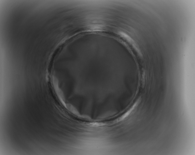 X0000088431449200706121442