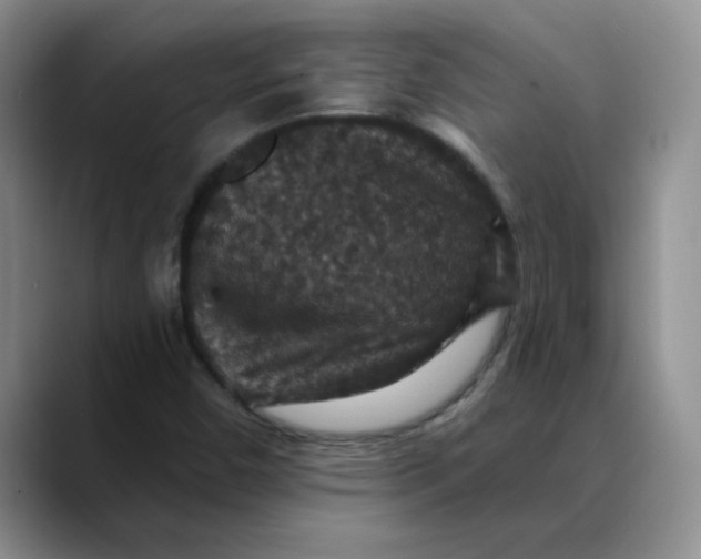 X0000088431450200706121442