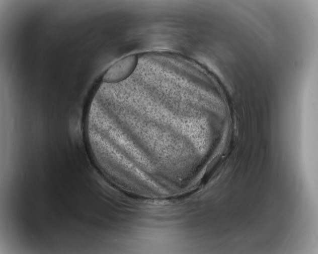 X0000088431452200706121442