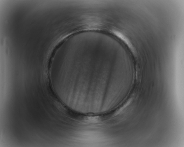 X0000088431453200706121442