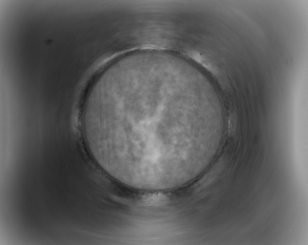 X0000088431454200706121442