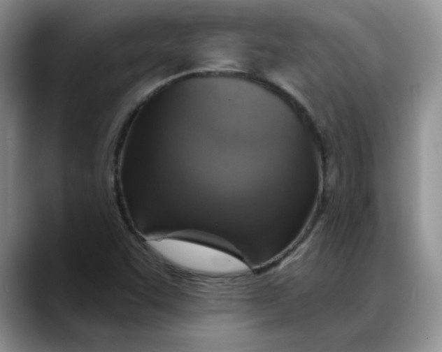 X0000088431455200706121442