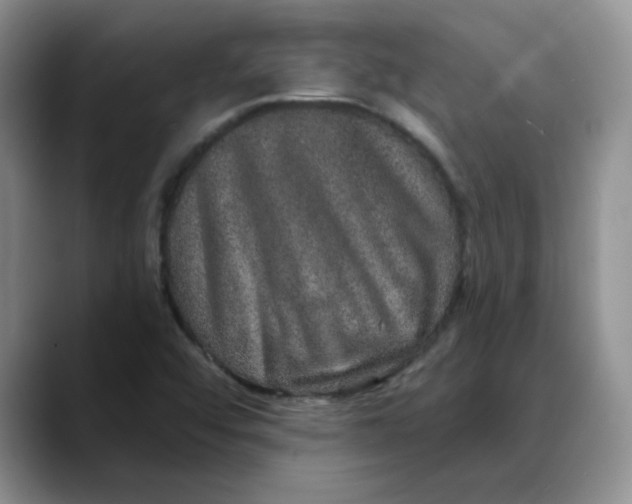 X0000088431456200706121442