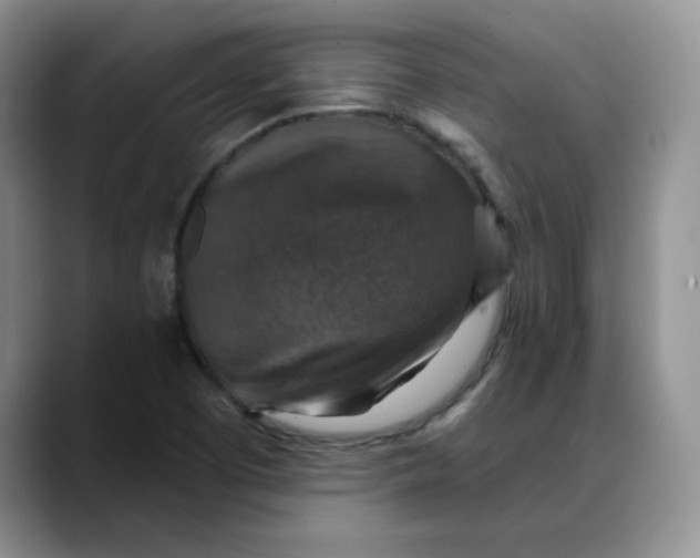 X0000088431457200706121442