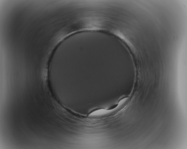 X0000088431459200706121442