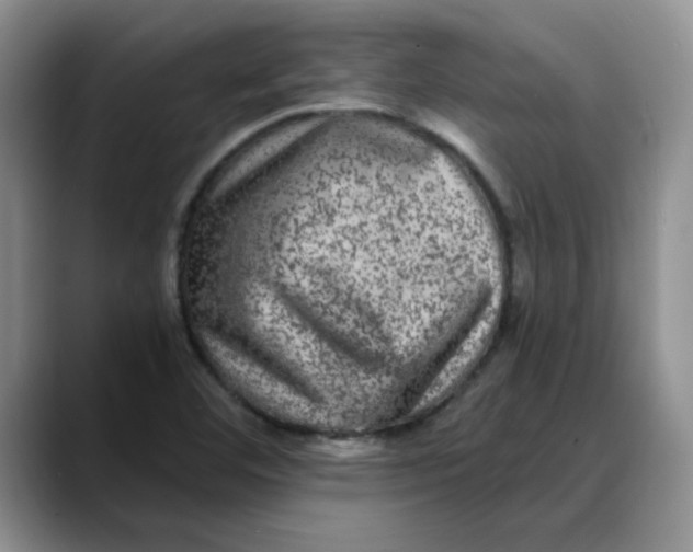 X0000088431460200706121442