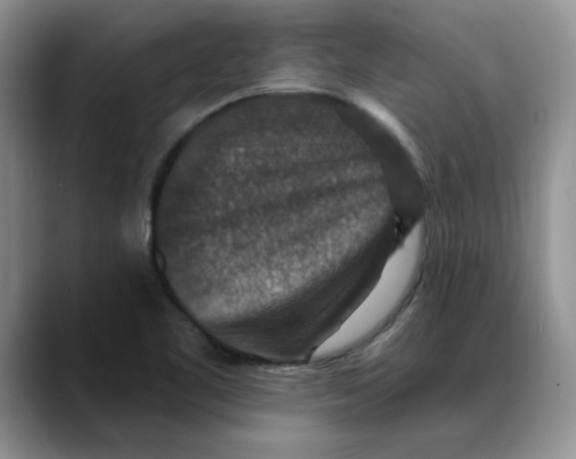 X0000088431461200706121442