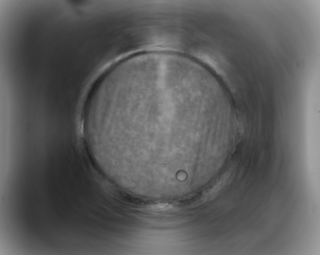 X0000088431462200706121442