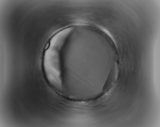 X0000088431463200706121442