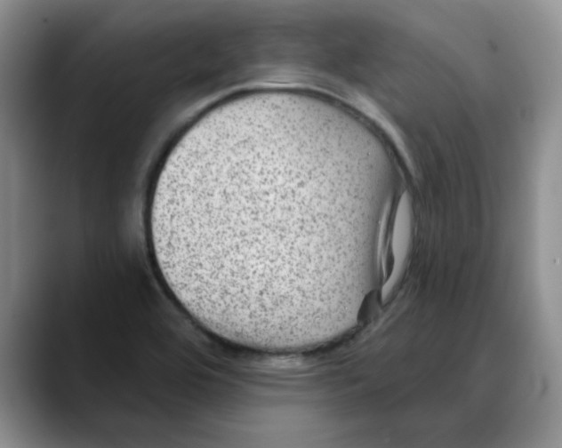 X0000088431464200706121442